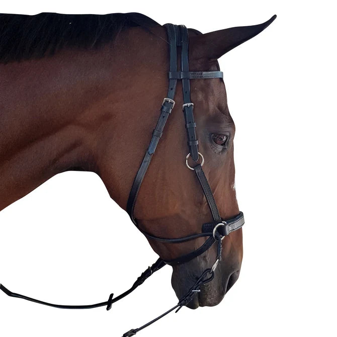 Bridle bitless crossover without reins