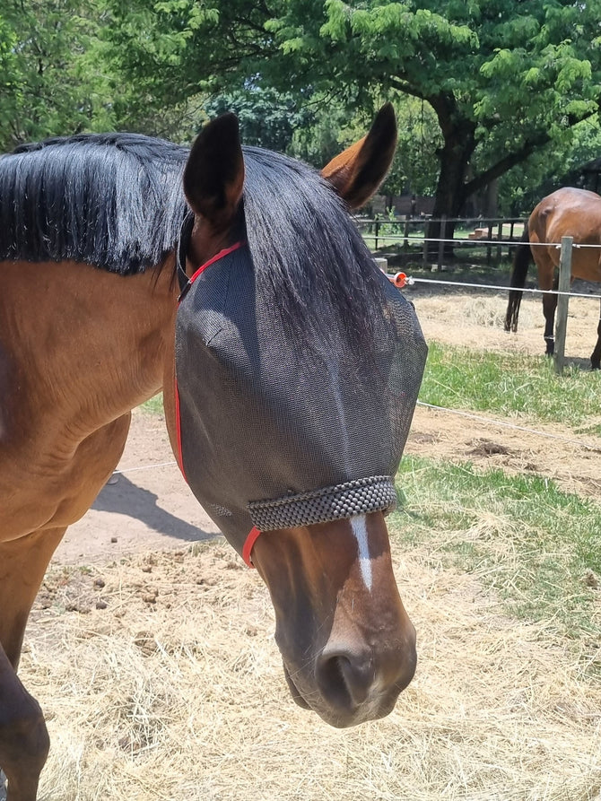 Fly mask comfort equiprene with webbing strap that goes behind the horse’s ears