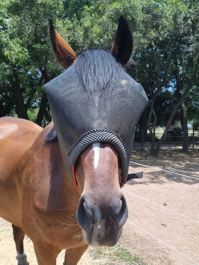 Fly mask comfort equiprene with webbing strap that goes behind the horse’s ears