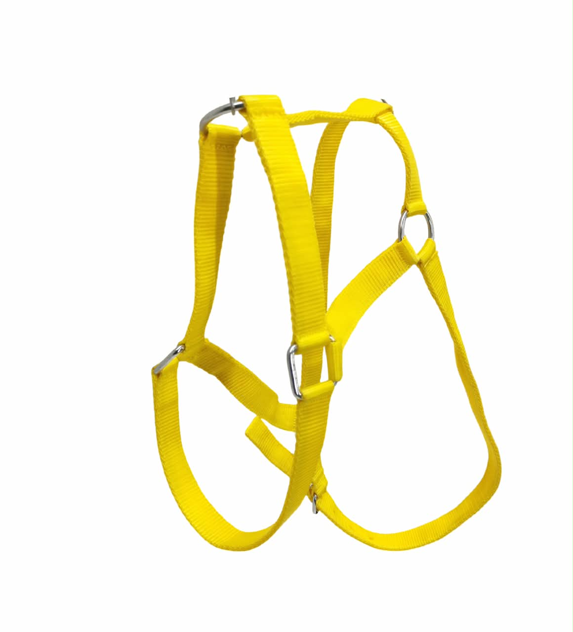Halter econo no lead