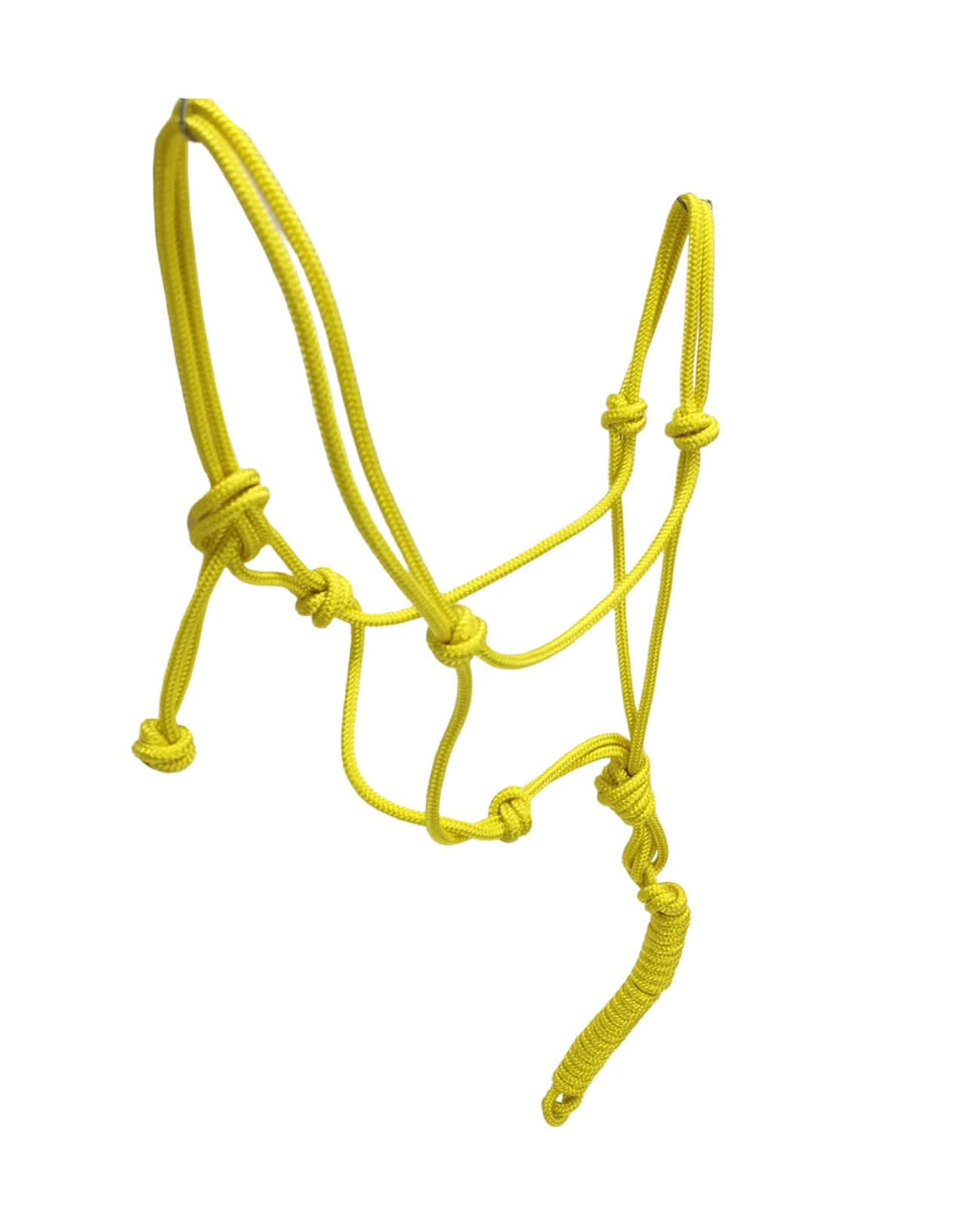 Rope halter with lead