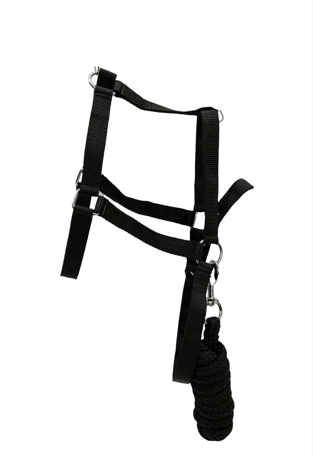 Halter economy plain with lead