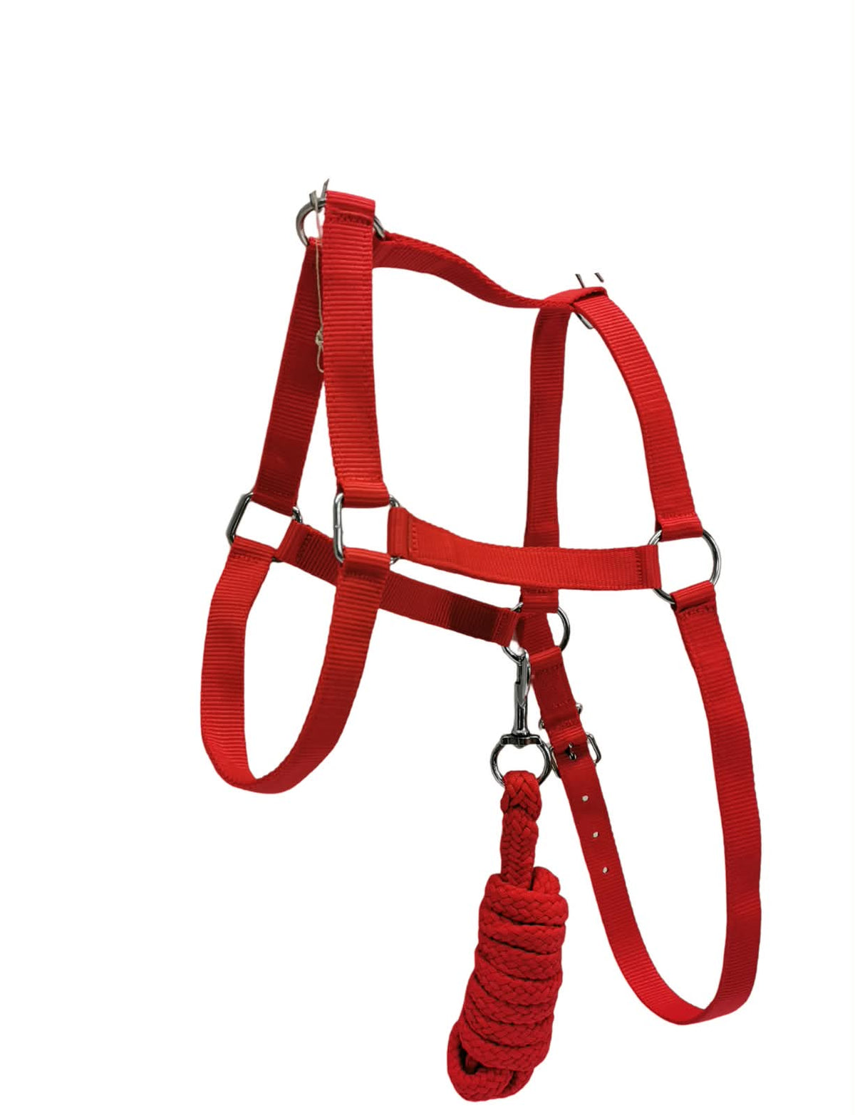 Halter economy plain with lead