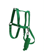 Halter economy plain with lead