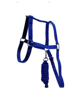 Halter economy plain with lead