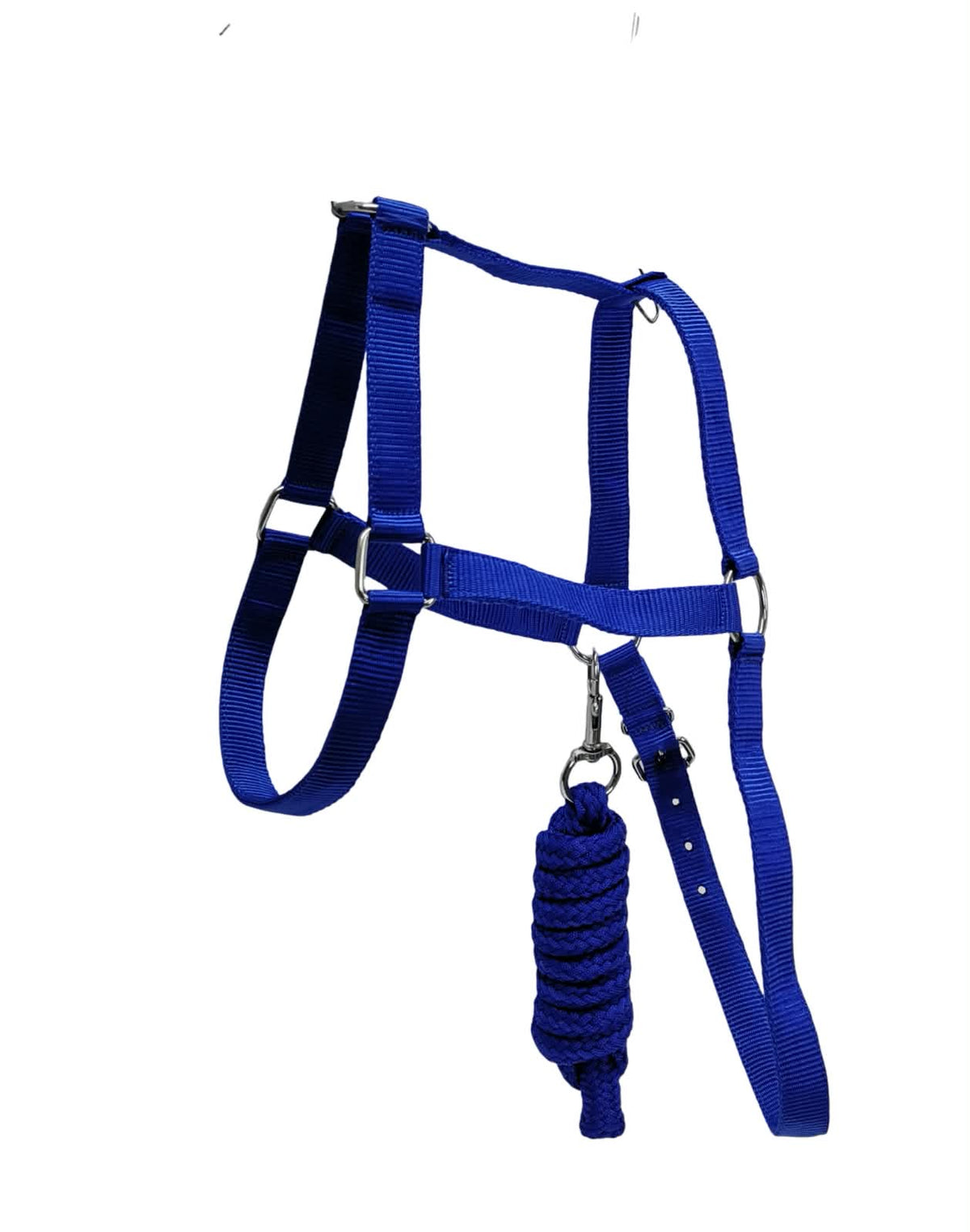 Halter economy plain with lead