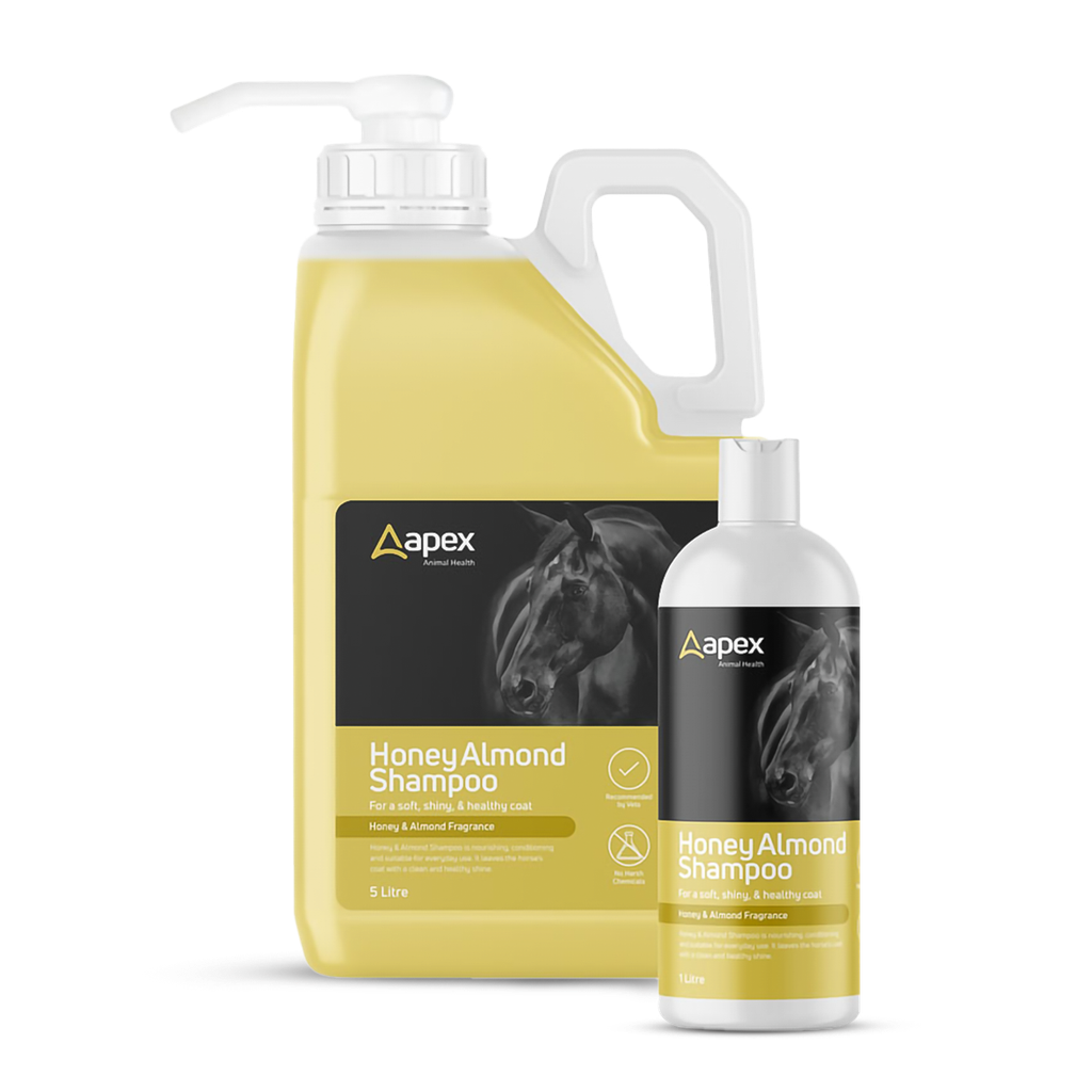 Apex Honey & Almond Shampoo 5lt