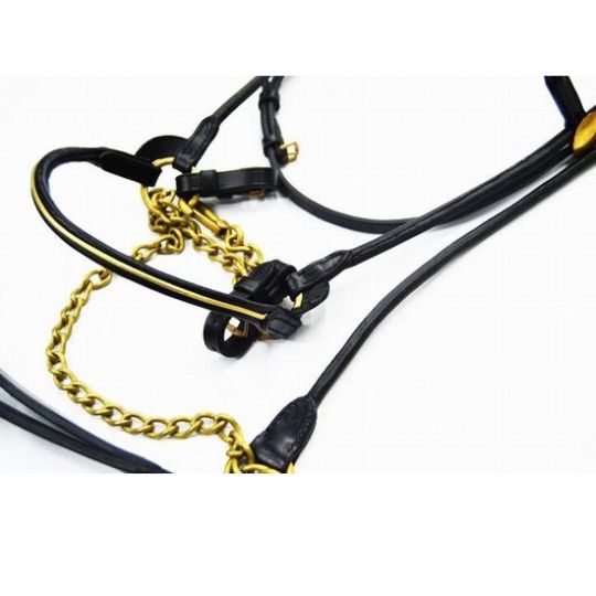 Bridle arab show black with brass chain and lead