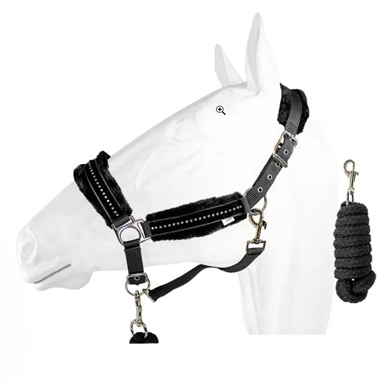 Halter equistyle stellar with lead