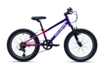 Avalanche Buzz 20" Girls Purple