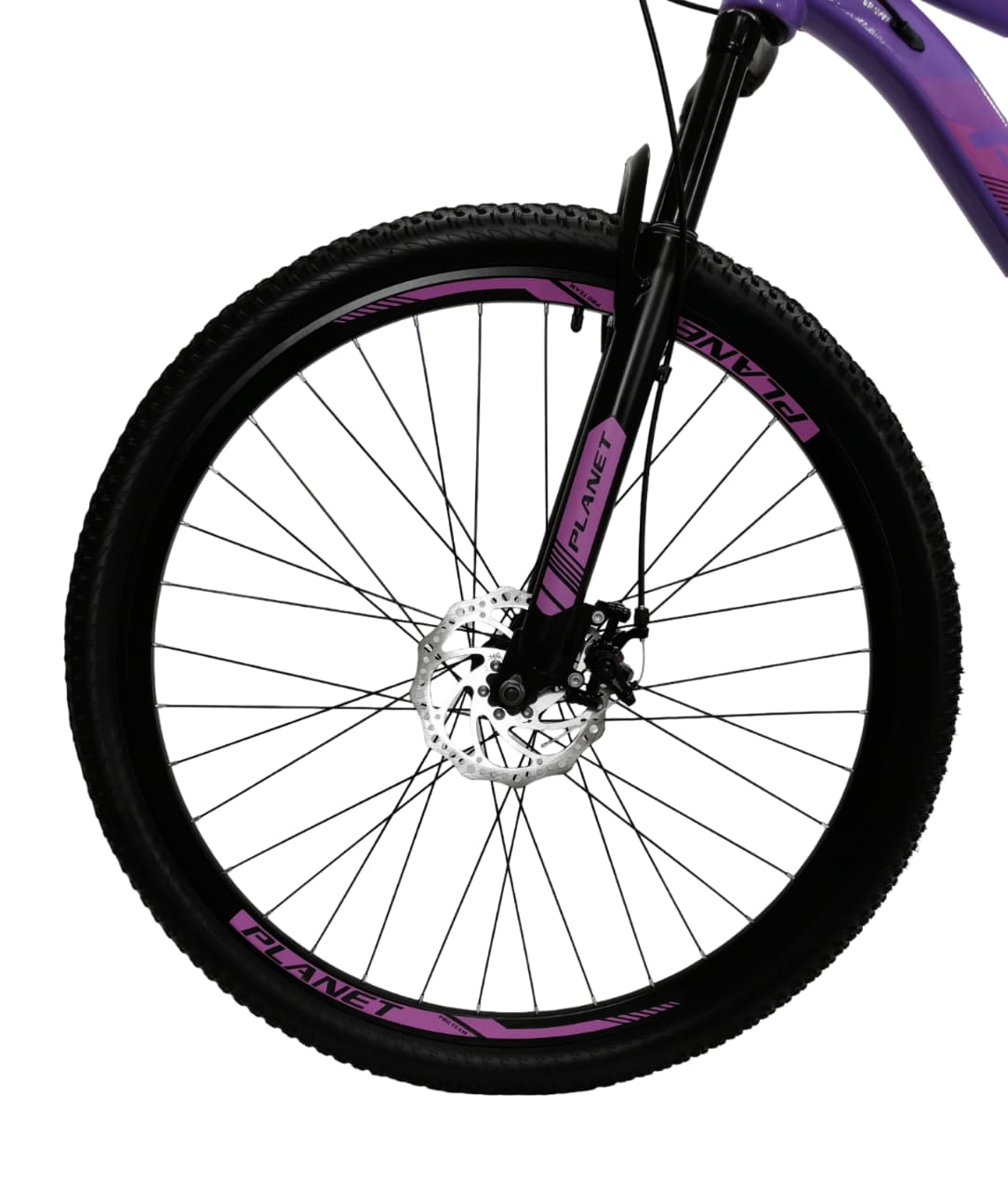 Planet Bicycle - Trendy MTB 29'' - Purple