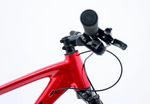 Avalanche REFLEX  29" Team BLACK/RED — full-size ERPLY original