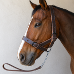 Halter Leather Cattle Double ADJ + Lead & Chain