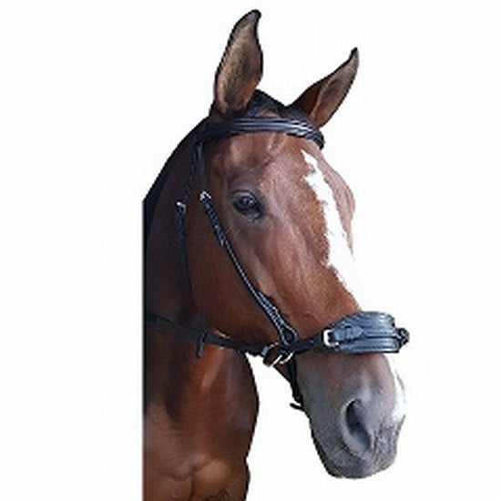 Bridle bitless crank nose leather