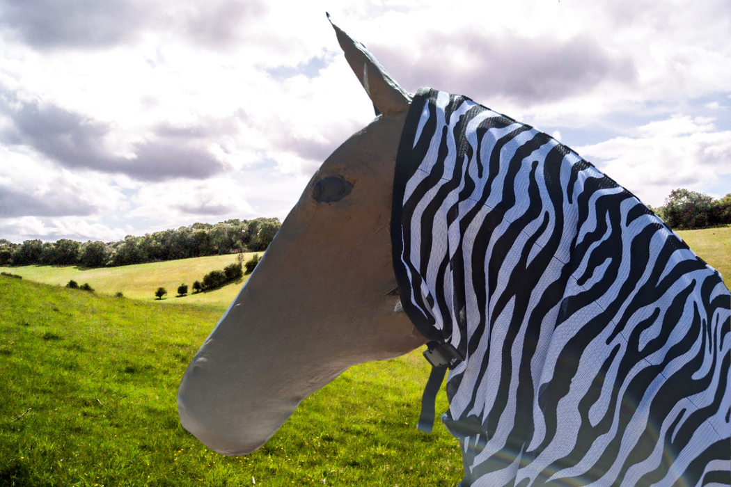 Ridepro Fly Sheet Combo With Hood Zebra Print