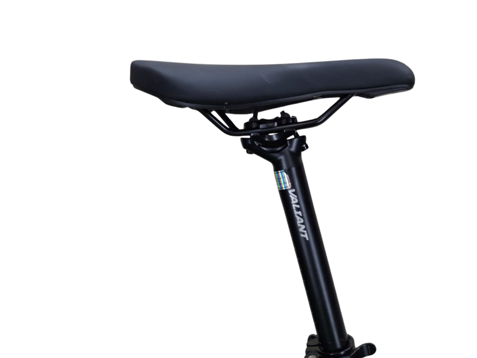 BICYCLE MTB VALIANT 29 INCH ALLOY FRAME