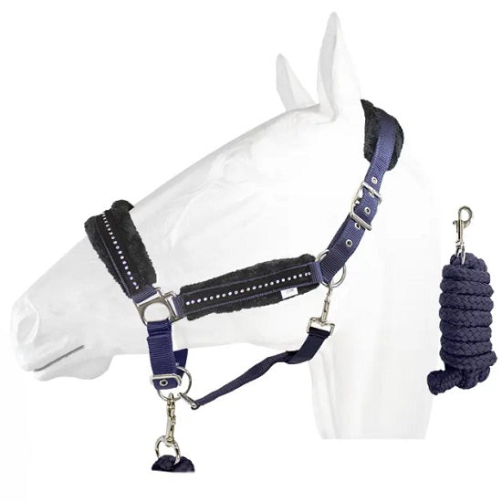 Halter equistyle stellar with lead