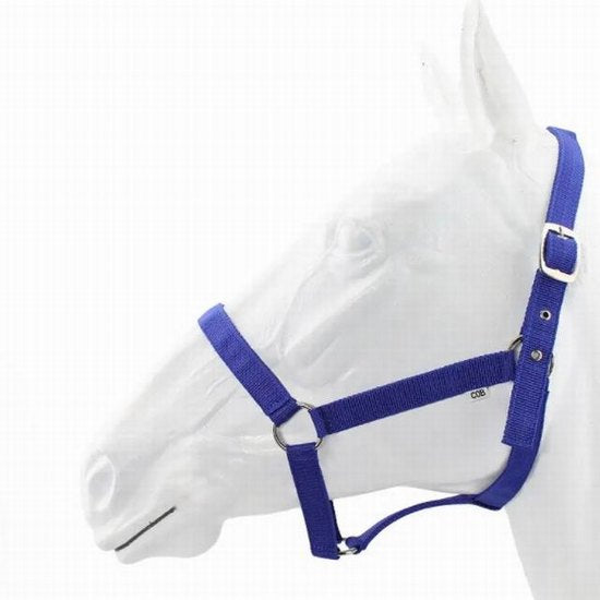 Halter economy with lead pony size