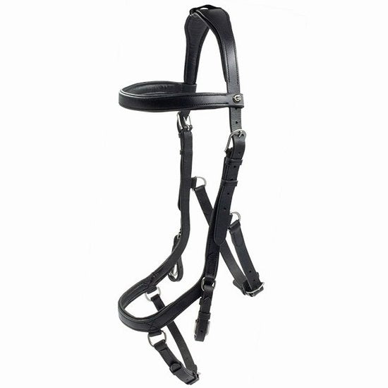 Bridle capitol relief black