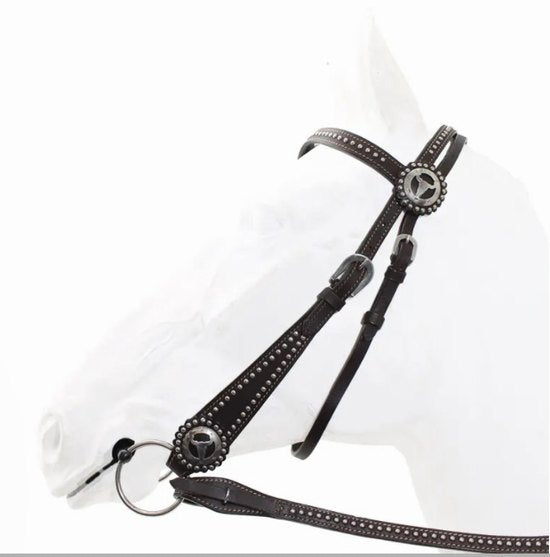 Bridle western 011