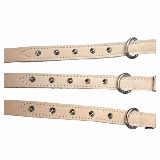 Dog collar with studs