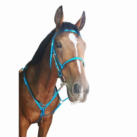 Endurance bridle and breast plate set solo american biothane Cob size