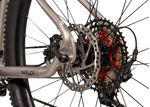Avalanche Reflex Team 29" Silver/Deep Metallic Blue