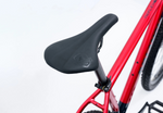 Avalanche REFLEX  29" Team BLACK/RED — full-size ERPLY original