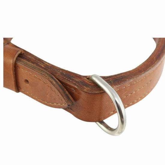 Dog collar house brand 38mm heavy duty