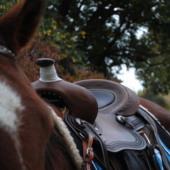 Western saddle - the ford worth