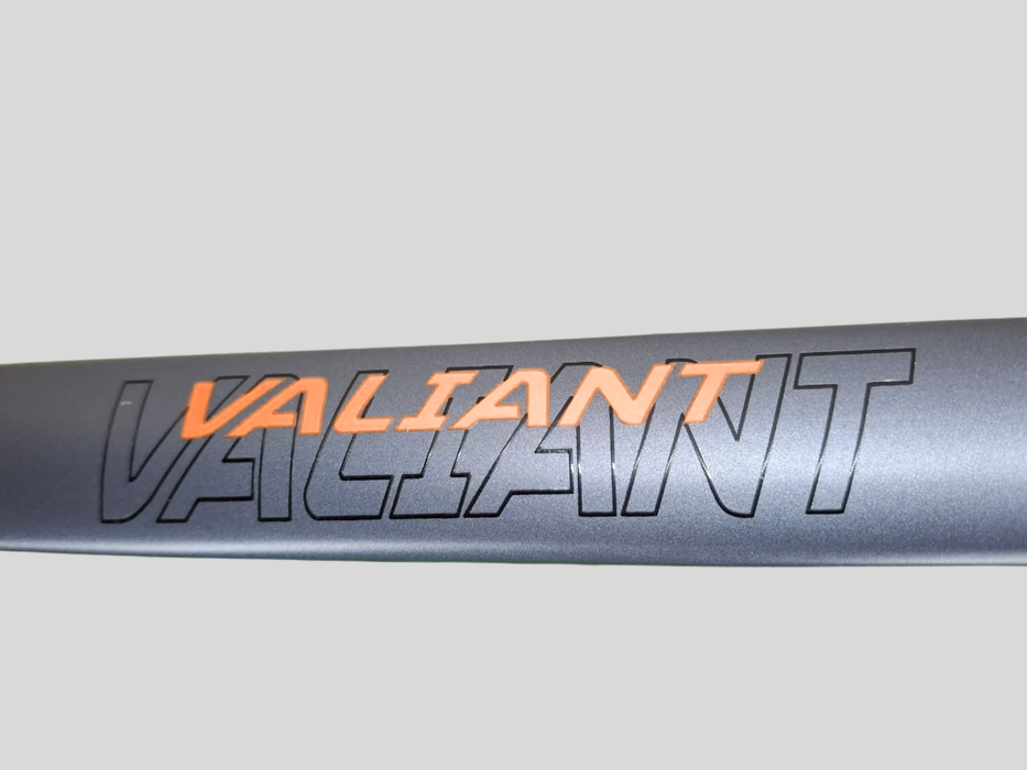 BICYCLE MTB VALIANT 29 INCH ALLOY FRAME