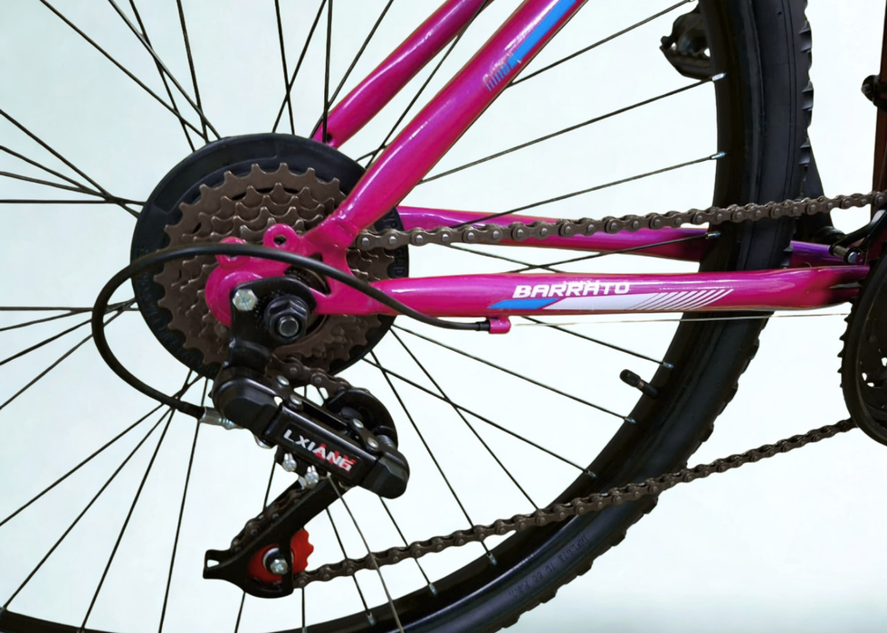 Barrato 24 inch MTB Ladies bike
