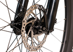 Avalanche Reflex Team 29" Silver/Deep Metallic Blue