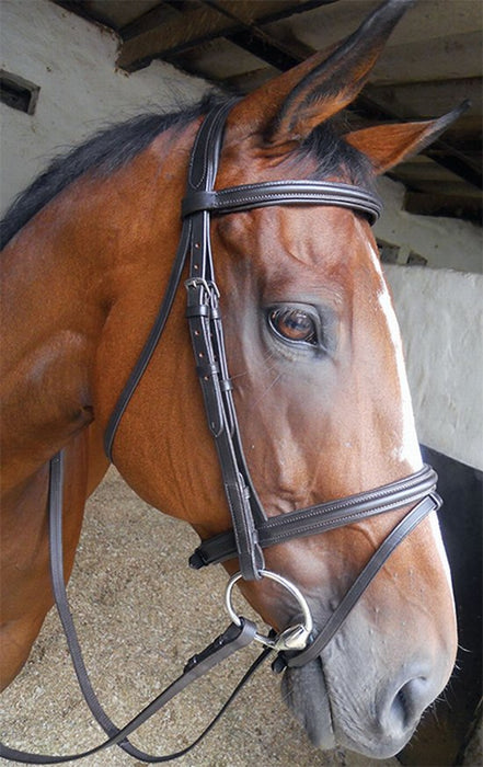 Bridle english padded poll