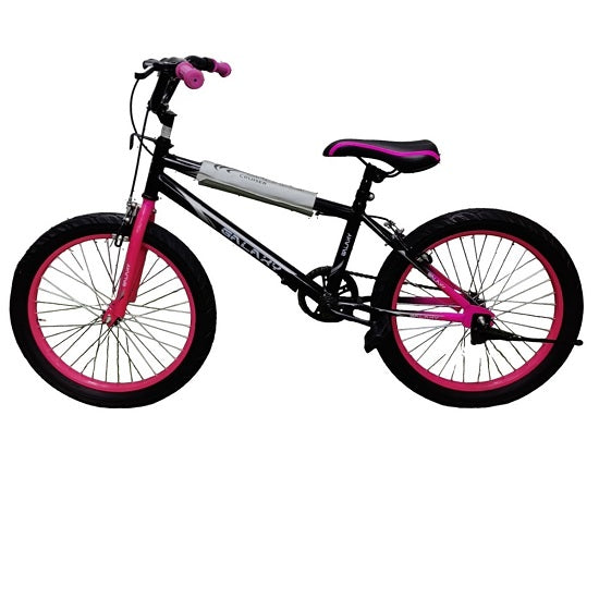 Galaxy 20 inch BMX Bicycle girls