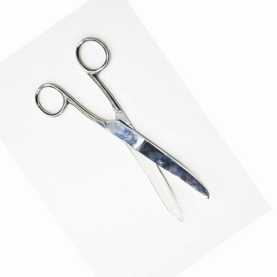 Fetlock shears ss