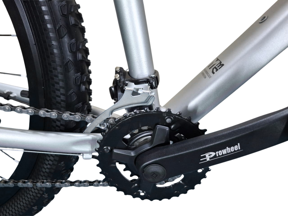 Bicycle Planet 29 inch medium frame  8x2 gears hydraulic brakes