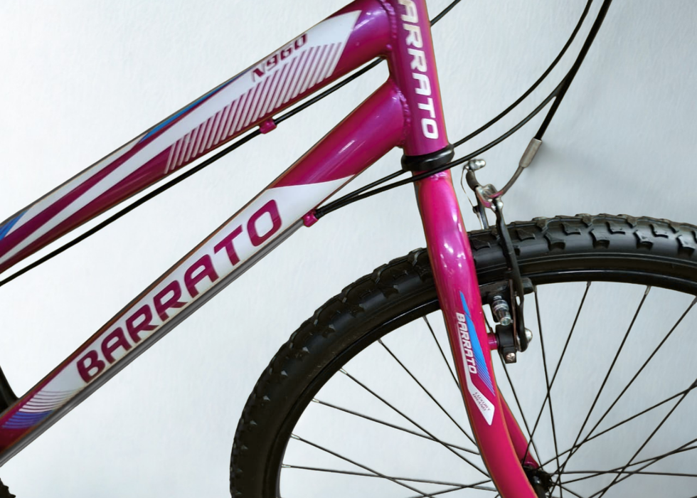 Barrato 24 inch MTB Ladies bike