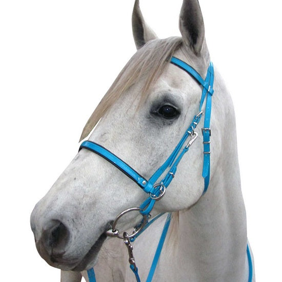 Bridle only endurance american biothane