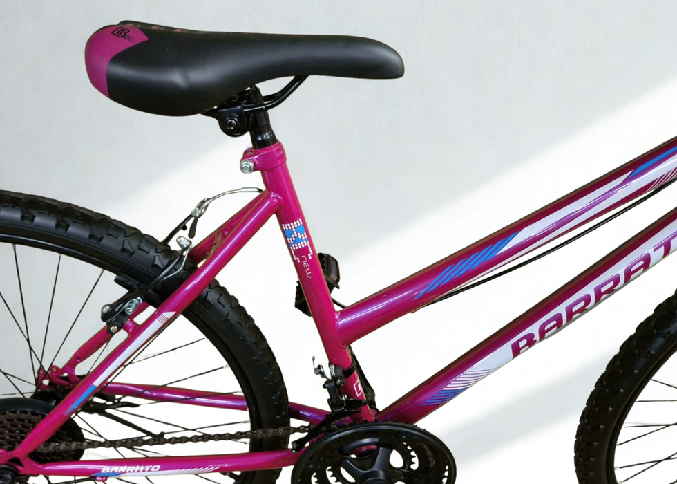 Barrato 24 inch MTB Ladies bike