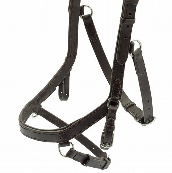 Bridle capitol relief black