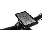 Avalanche MTE E-Bike White/Black/Blue