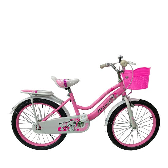 Galaxy BMX 20 inch Bicycle girls full house