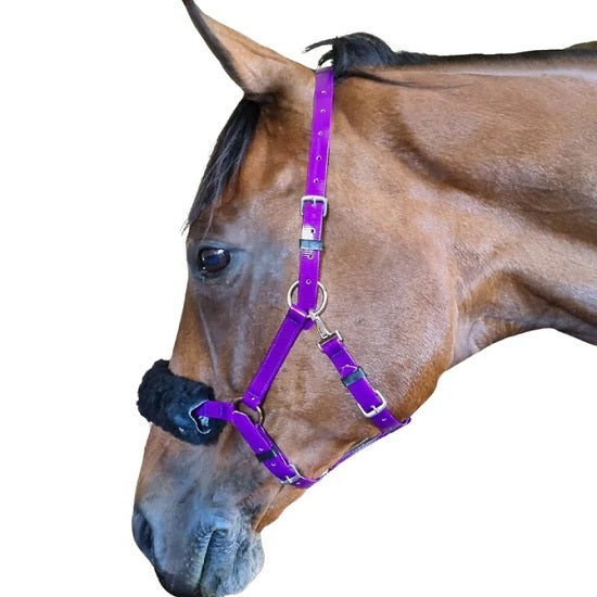 Clip round for endurance bridle reins