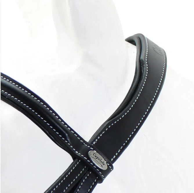 Bridle - capriole gg web reins