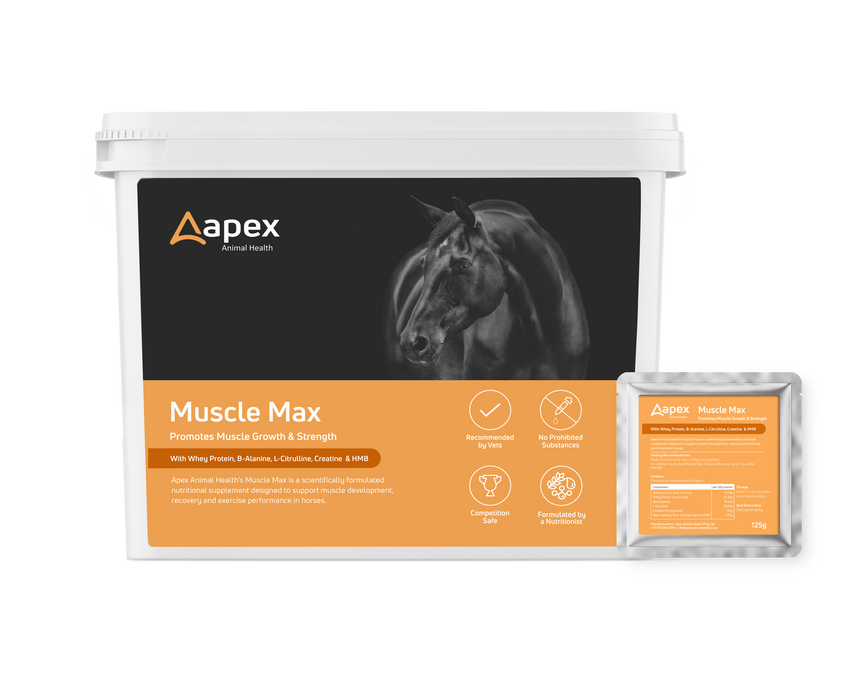 Apex Muscle Max 60x 125g Satchet