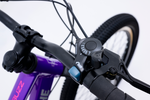 Avalanche Buzz 20" Girls Purple