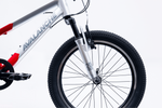 Avalanche Buzz 20" Boys Red — full-size ERPLY original