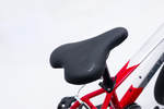 Avalanche Buzz 20" Boys Red — full-size ERPLY original