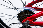 Avalanche Buzz 20" Boys Red — full-size ERPLY original